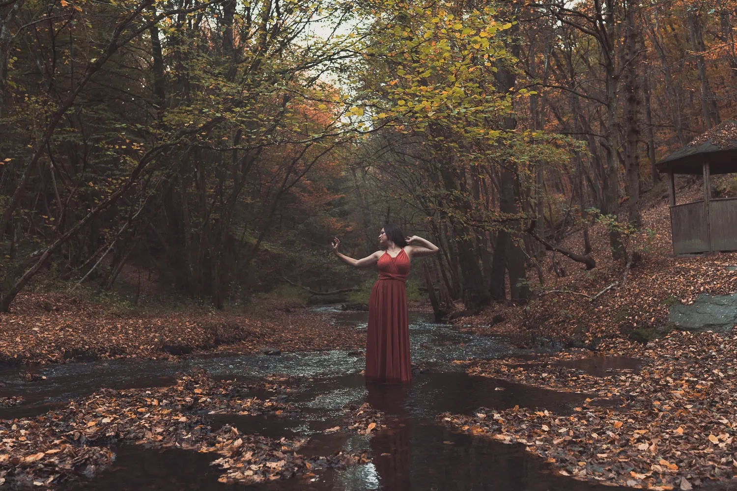 Highest Self Shooting im Wald, Magie umwirbelt Anna