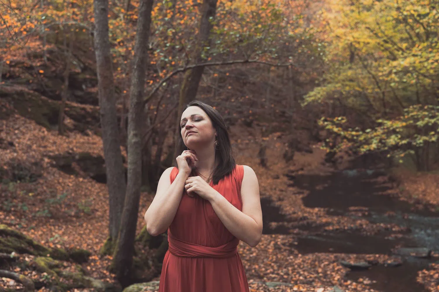 HighesSelfShootingForest